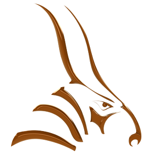 Bongo Logo