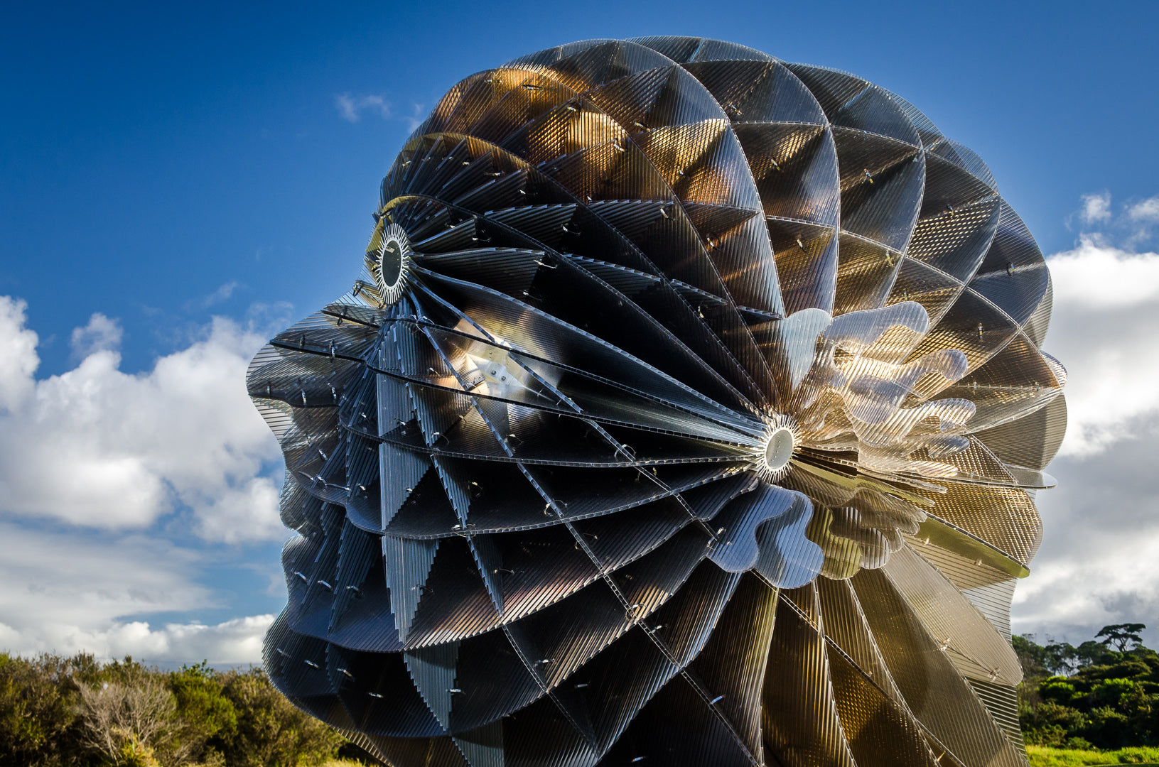 Dawn Awakening sculpture designed in Rhino by Tim Elliot